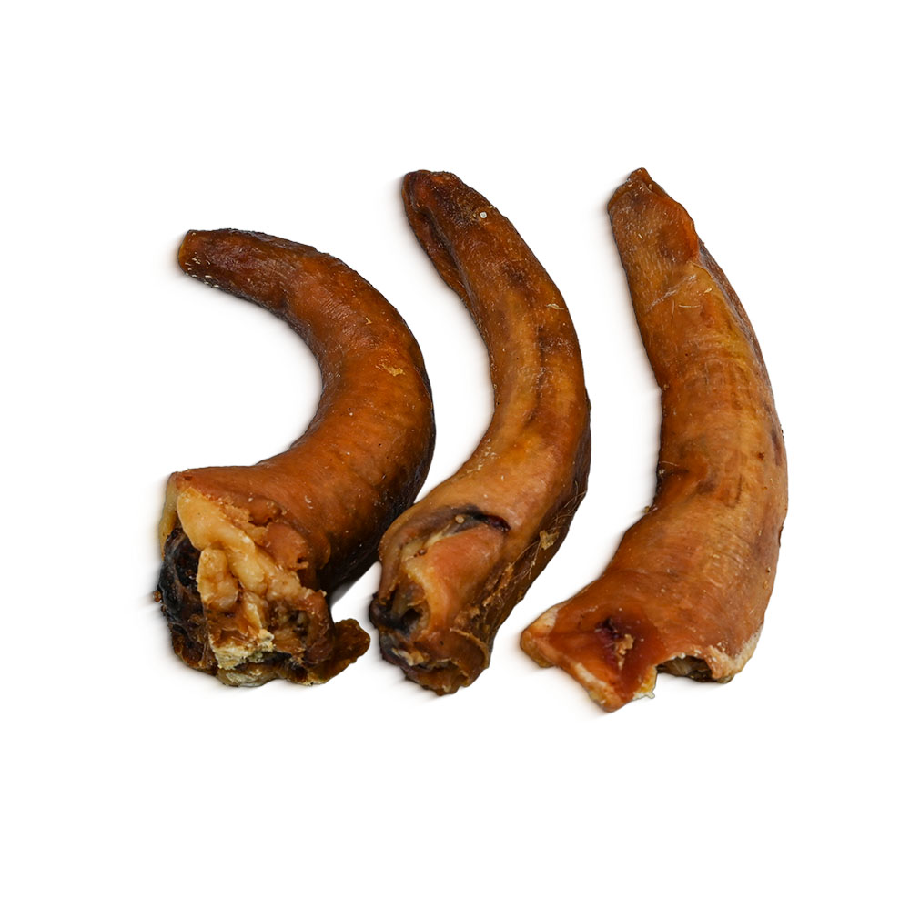 Ogon wieprzowy